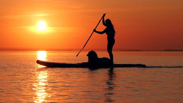 在夕阳的背景下，一个女人和一只狗在冲浪板上。视频素材