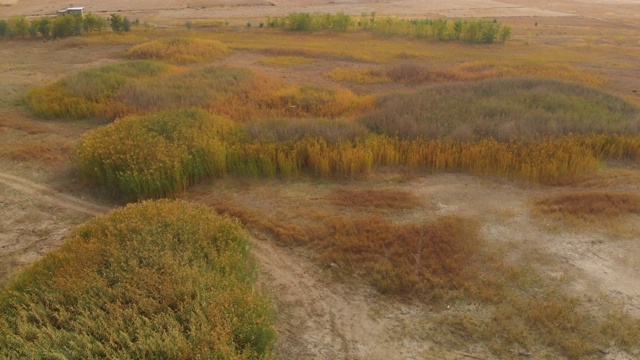 卡拉塔斯湖的芦苇、草地和船只视频素材