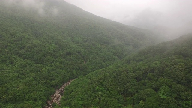 Jirisan Mountain Piagol Valley风景/ Guryegun，全罗南道，韩国视频素材