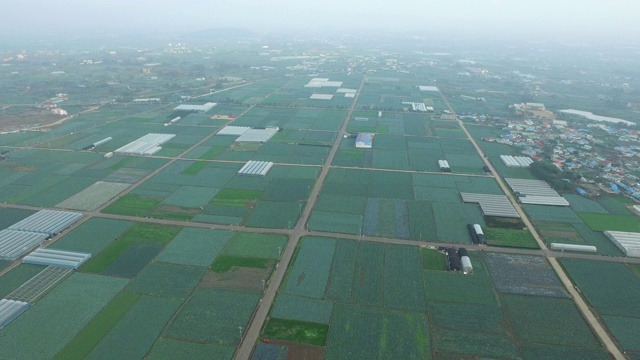 农田风景/济州岛，韩国视频素材