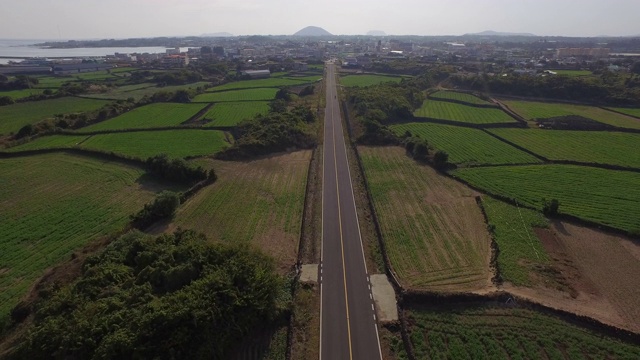 绿茶农场和公路风景/西浦，济州岛，韩国视频素材