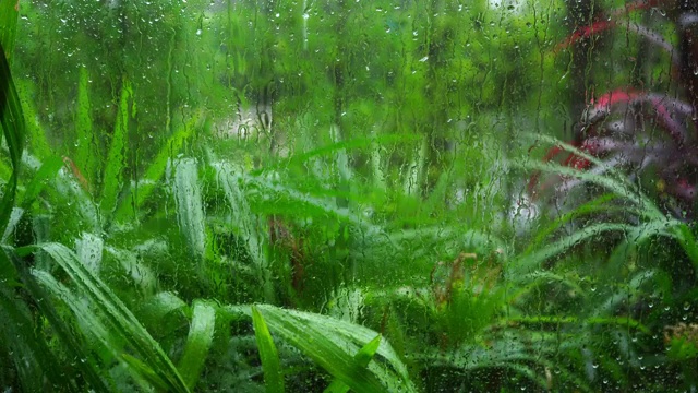 近距离拍摄的雨滴落下来一个清晰的车窗在雷雨暴雨视频素材