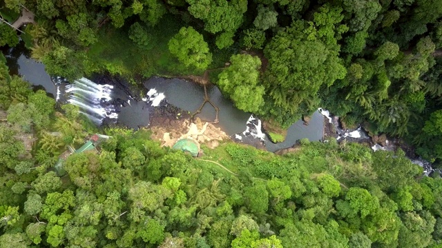 高空鸟瞰原始丛林和河流峡谷视频素材