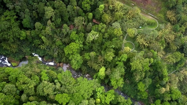 高空鸟瞰高地，丛林峡谷视频素材