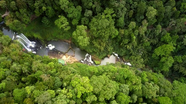 上面的观点深狭窄山谷与峡谷之间的丛林视频素材