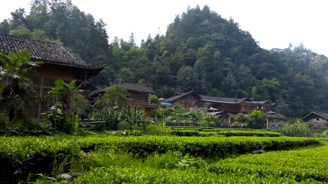 清晨，中国湖北的山峦和村庄。视频素材