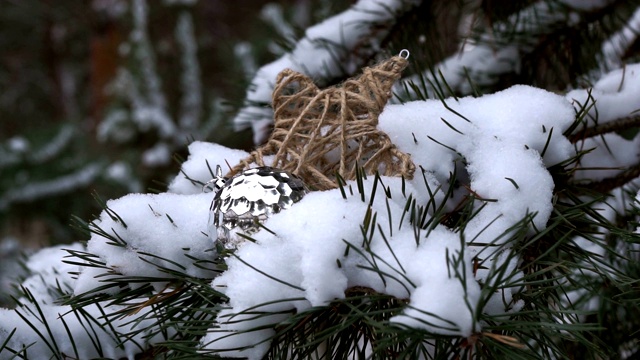 圣诞树在雪中视频素材