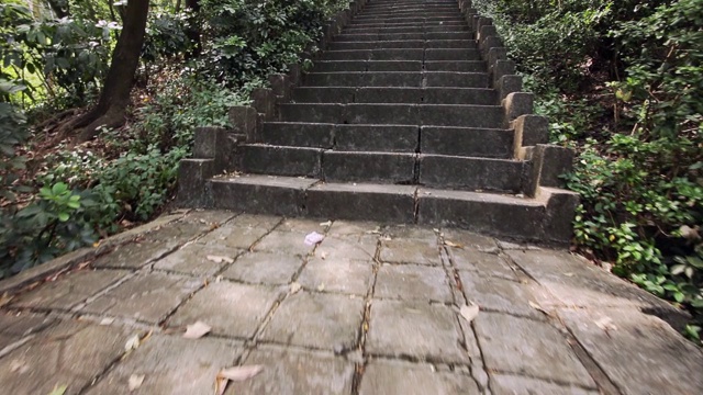 热带雨林公园，混凝土小路和楼梯视频素材