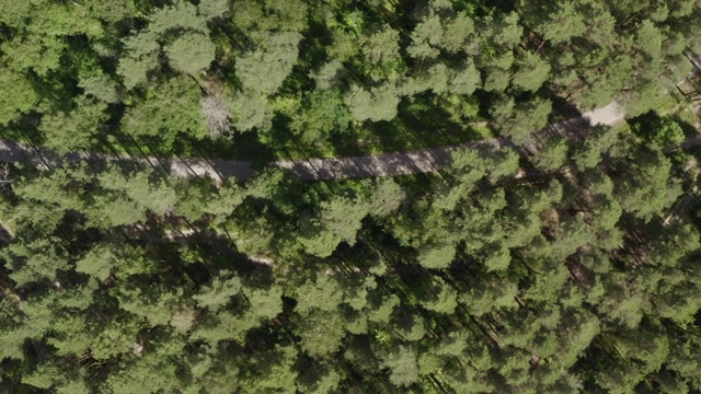 黑色jdm汽车行驶在乡村公路之间绿色森林无人机的视图。鸟瞰图日本汽车行驶在柏油路上。夏天乘汽车旅游自然景观视频素材