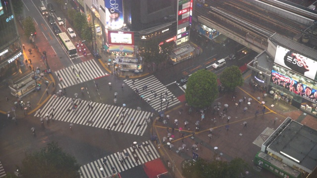 雨中穿过涩谷十字路口的行人和汽车/涩谷，东京，日本视频素材