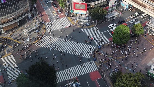 日本东京涩谷十字路口的行人和汽车视频素材