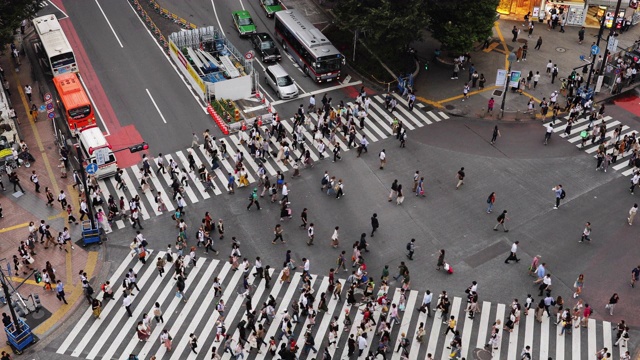 日本东京涩谷十字路口的行人和汽车视频素材