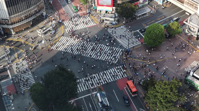 日本东京涩谷十字路口的行人和汽车视频素材