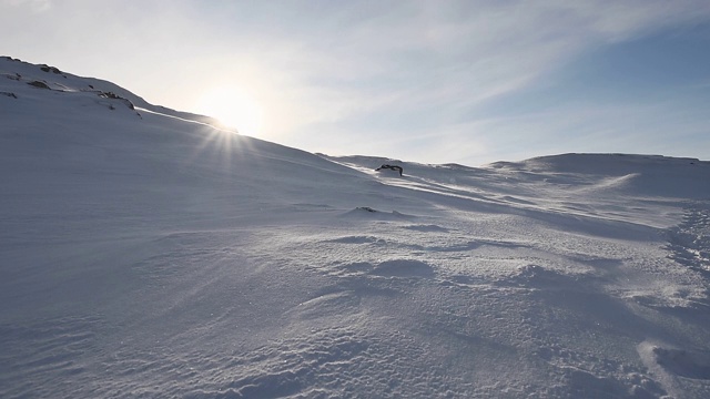 北极暴雪。风吹。雪漂移。视频素材