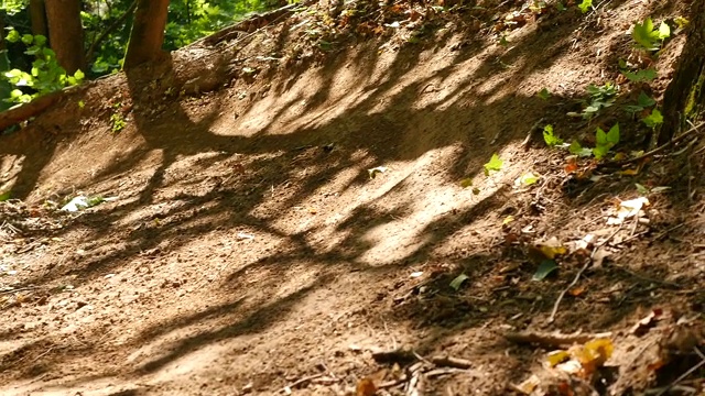 职业自行车手骑着山地车在森林下坡。骑着全悬挂山地自行车在森林小径上骑行的人。极限自行车骑手训练技巧在尘土飞扬的道路上视频素材