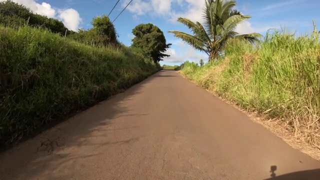 在热带乡村的柏油路上开车视频素材