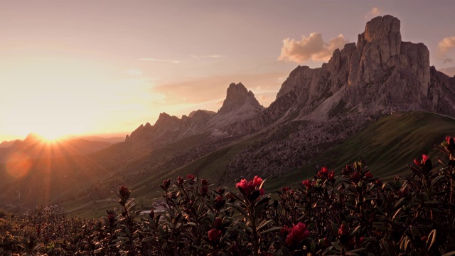 意大利Dolomites, Passo di Giau的夏日日落，前景是鲜花视频素材