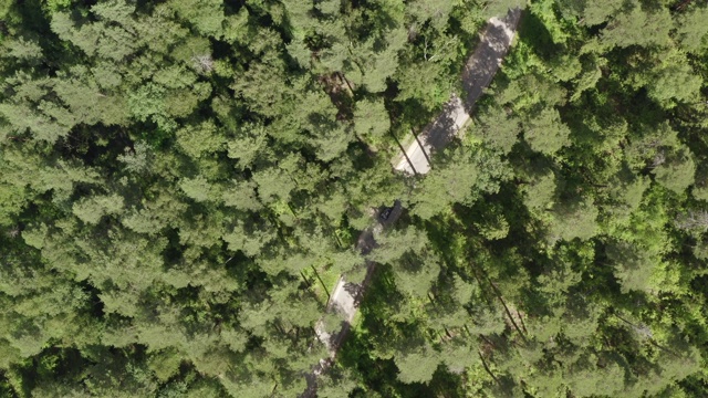鸟瞰图日本黑色汽车通过绿色森林的乡村道路。夏日森林与车路。被无人机从上面捕获视频素材