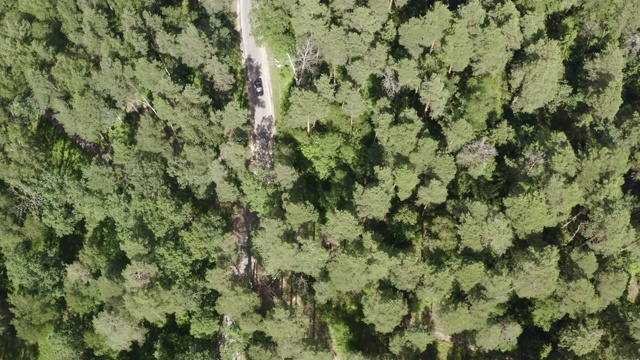 鸟瞰图日本黑色汽车通过绿色森林的乡村道路。夏季森林与jdm车路。被无人机从上面捕获视频素材