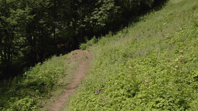 在森林越野上骑山地车下坡的自行车。骑自行车的人在山地车上跳上台阶下降。森林小径自行车手极限训练技巧。骑自行车运动训练视频素材