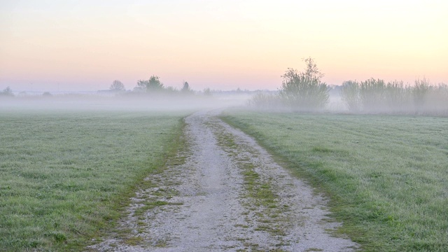 德国巴伐利亚州Franconia中部，Gunzenhausen, Franconian湖区Muhr am See，日出时的土路和晨雾视频素材