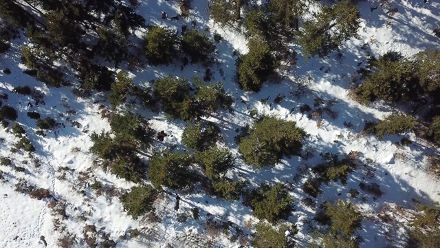 在恶劣天气下，俯视图无人机在弯曲的道路、风山和覆盖着积雪的森林上空飞行。视频素材