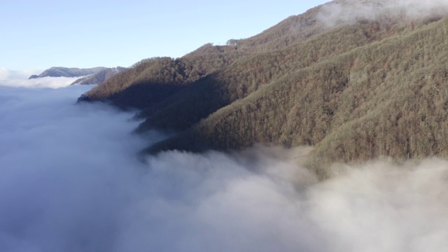 高山和高地覆盖着森林和薄雾云的景象从空中无人机。空中景观森林在山区和白霾在山谷。无人机视野朦胧的山谷视频素材