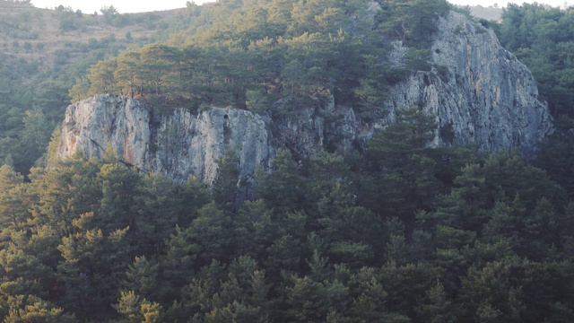 山树全景视频素材