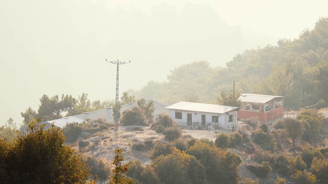 山树全景视频素材