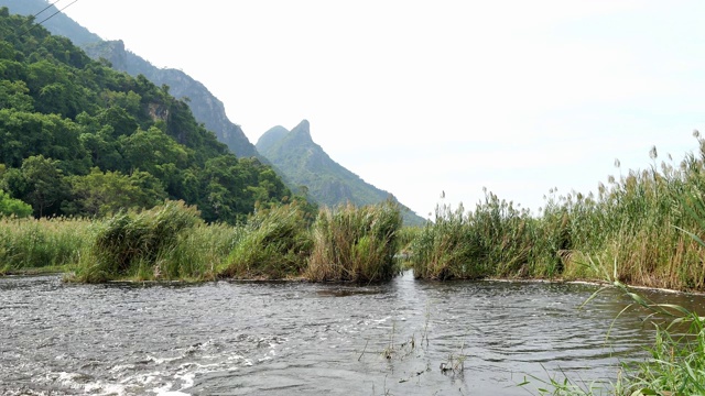 石灰岩山与岩壁，绿色的森林和芦苇田在广阔的湿地视频素材