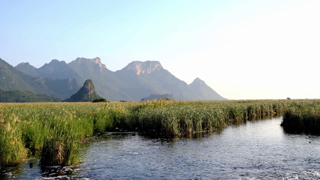 石灰岩山与岩壁，绿色的森林和芦苇田在广阔的湿地视频素材