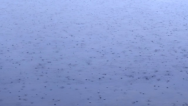 雨滴落在水面上。大雨滴在雷雨中落入水坑。水滴。暴雨背景视频素材