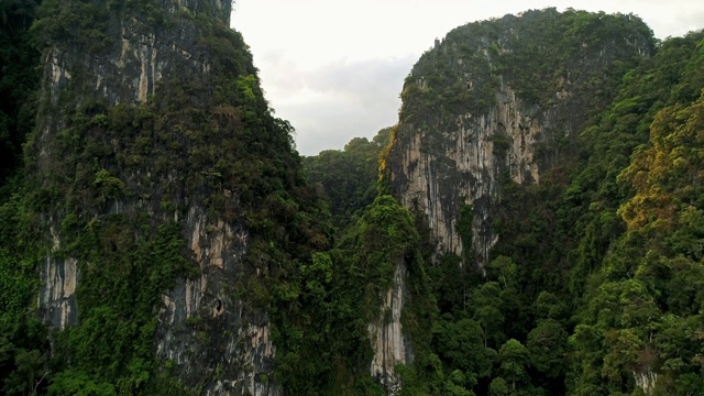 天线。惊人的电影风格的视频巨大的山脉和雨林在泰国南部。无人机飞越高峰。太阳在山后耀斑。两只鸟在四旋翼机附近飞行。视频素材