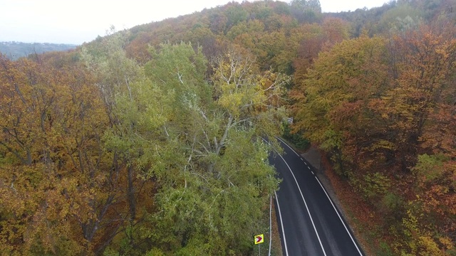 从森林鸟瞰道路，秋天的季节，美丽多彩的风景视频素材