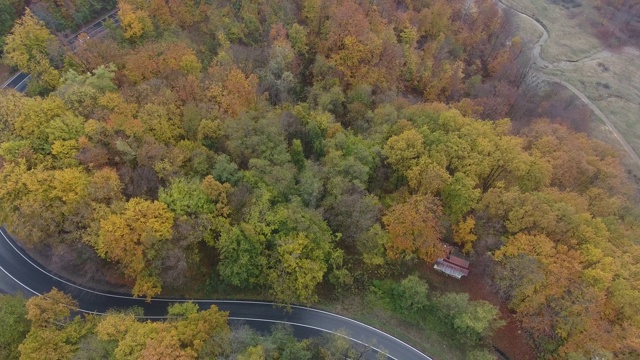 从森林鸟瞰道路，秋天的季节，美丽多彩的风景视频素材