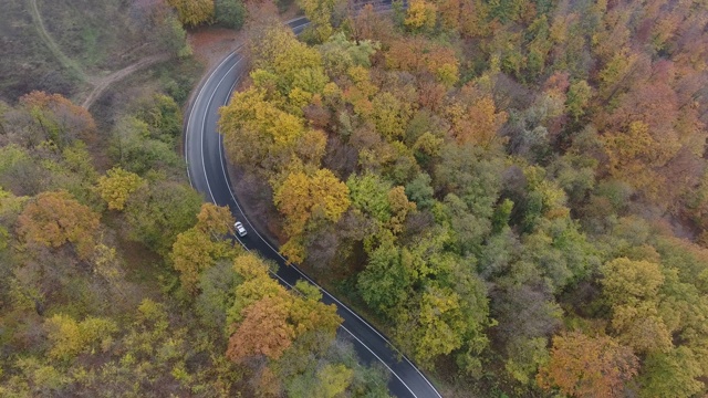 从森林鸟瞰道路，秋天的季节，美丽多彩的风景视频素材