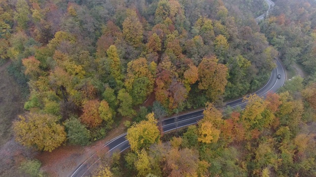 从森林鸟瞰道路，秋天的季节，美丽多彩的风景视频素材