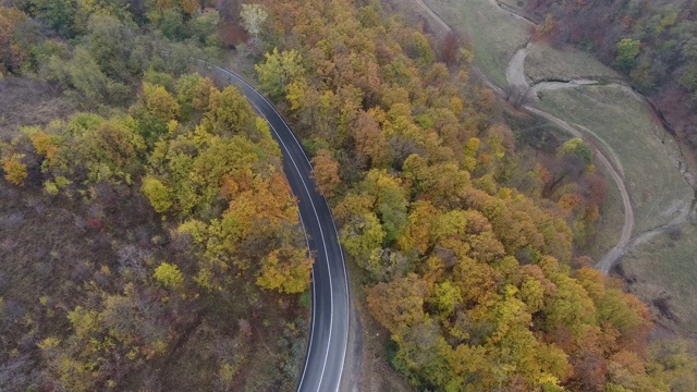 从森林鸟瞰道路，秋天的季节，美丽多彩的风景视频素材