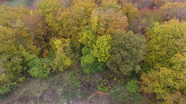 从森林鸟瞰道路，秋天的季节，美丽多彩的风景视频素材