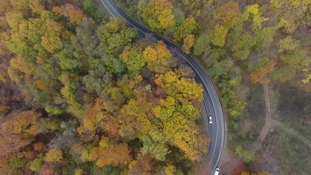 从森林鸟瞰道路，秋天的季节，美丽多彩的风景视频素材