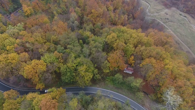 从森林鸟瞰道路，秋天的季节，美丽多彩的风景视频素材