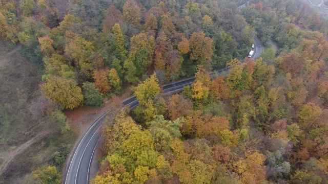 从森林鸟瞰道路，秋天的季节，美丽多彩的风景视频素材