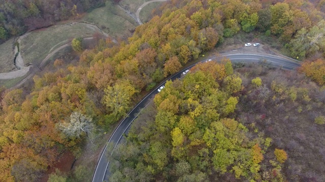 从森林鸟瞰道路，秋天的季节，美丽多彩的风景视频素材