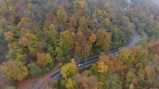 从森林鸟瞰道路，秋天的季节，美丽多彩的风景视频素材