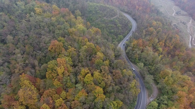 从森林鸟瞰道路，秋天的季节，美丽多彩的风景视频素材