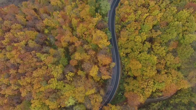 从森林鸟瞰道路，秋天的季节，美丽多彩的风景视频素材