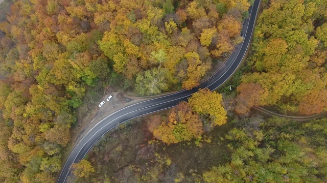 从森林鸟瞰道路，秋天的季节，美丽多彩的风景视频素材