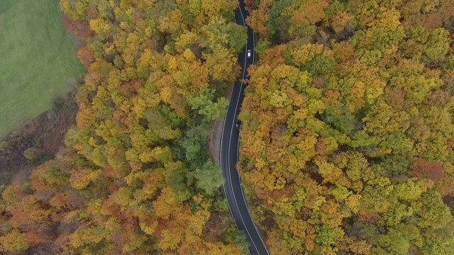 从森林鸟瞰道路，秋天的季节，美丽多彩的风景视频素材