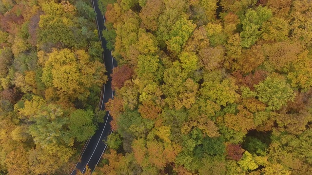 从森林鸟瞰道路，秋天的季节，美丽多彩的风景视频素材