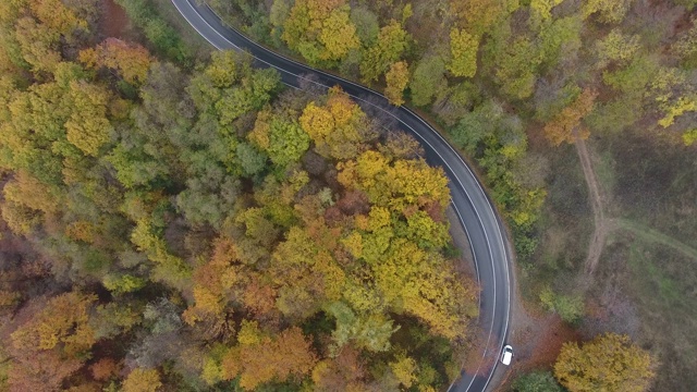 从森林鸟瞰道路，秋天的季节，美丽多彩的风景视频素材